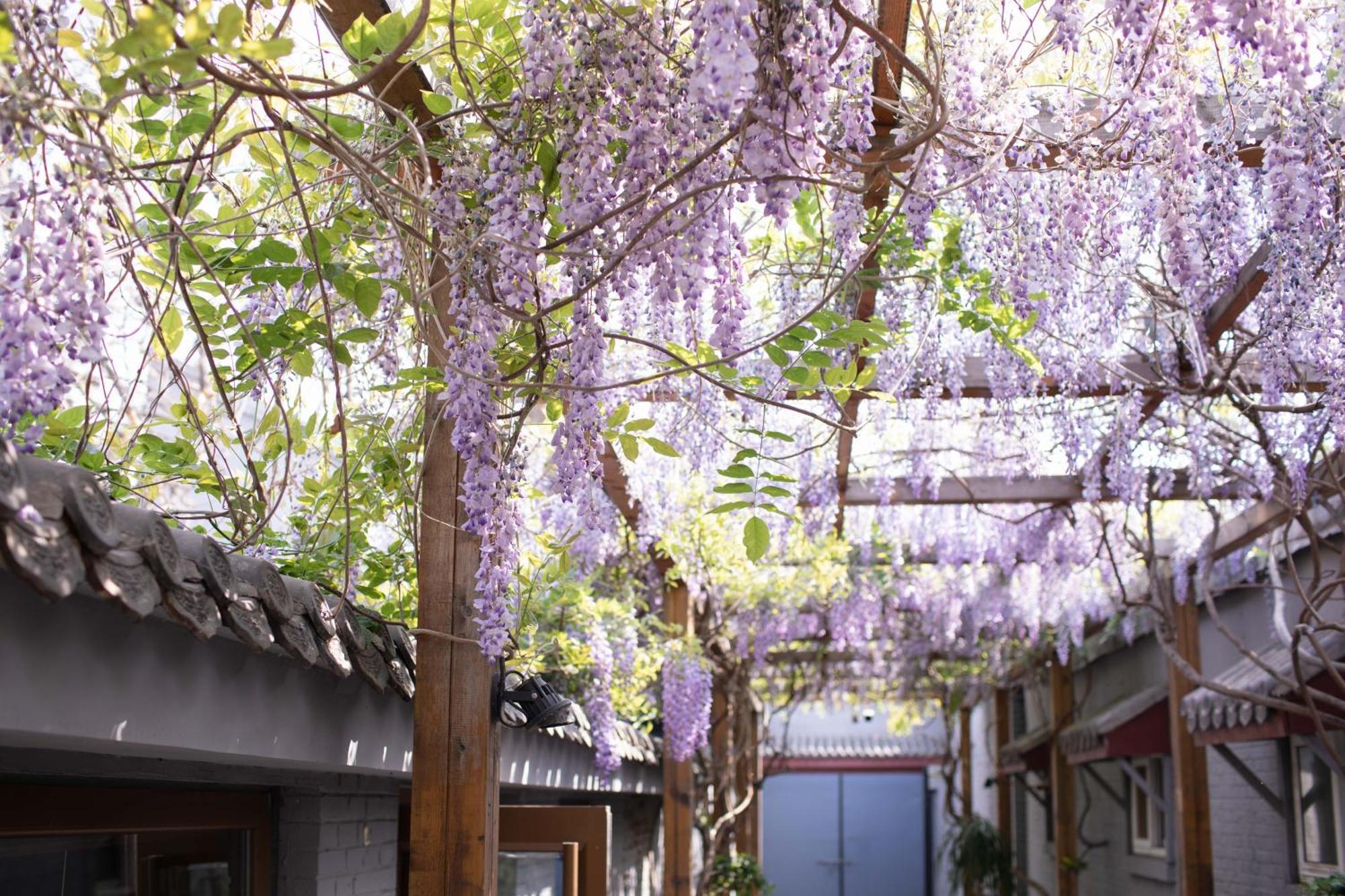 Guipu Beihai Courtyard Hotel Pekin Dış mekan fotoğraf